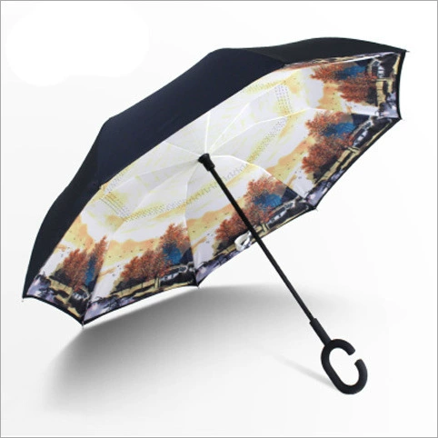Double-layer umbrella for car, Birthday gift