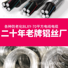 供應各種防老化BLXY-70平方電線電纜生產廠家定制加工純鋁絲鋁線
