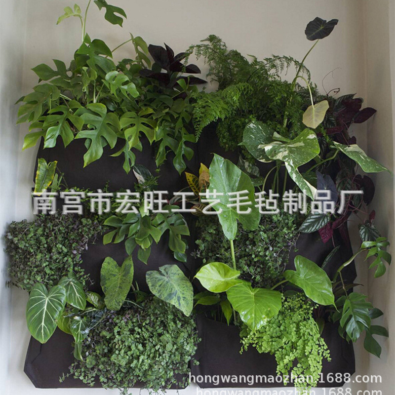 厂家制作毛毡育苗壁挂收纳袋独特创意室内设计家居装饰毛毡植物袋
