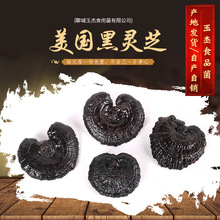 ���l�خa���`֥��֦ �������`֥ ���`֥��Ұ���`֥ș�SͶ���`֥