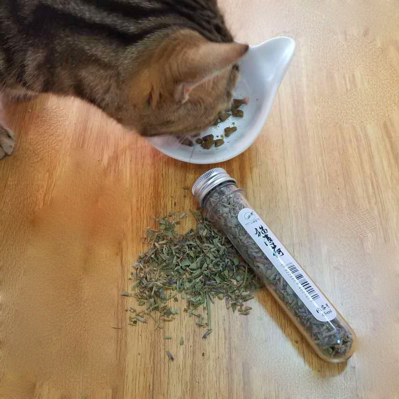 小野豹猫薄荷2