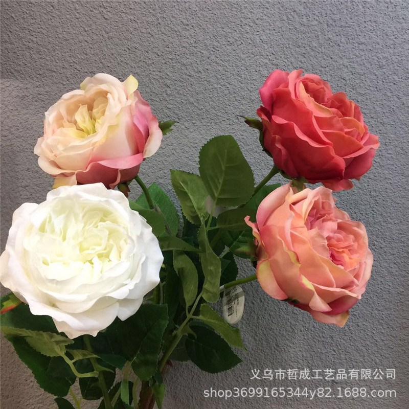 微信图片_20190215211551.jpg