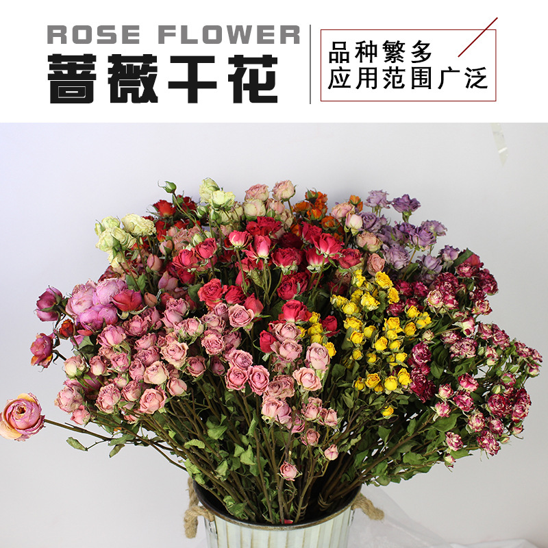 干花蔷薇多头小玫瑰斗南鲜花基地批发diy滴胶花材家居装饰真花束 阿里巴巴