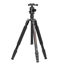 Triopo�݌�T268+D2A�X�Ͻ�zӰ�z�����_���̨���b�η����C���Ǽ�