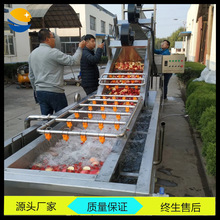 �S�Ҳ�ݮ�����oɫ�C ���^���Ϛ���������a�� ˮ������Ư�C�C