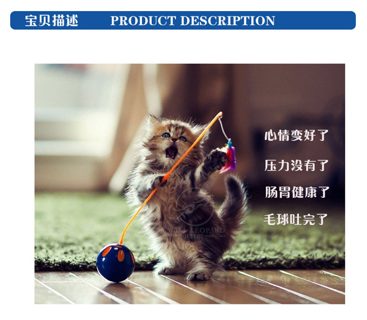 TB2CpLJdr1J.eBjSszcXXbFzVXa_!!