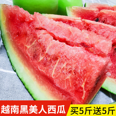 [5 pounds 5 pounds Vietnam Imported Black Beauty watermelon 2 Spring Explosive money fruit