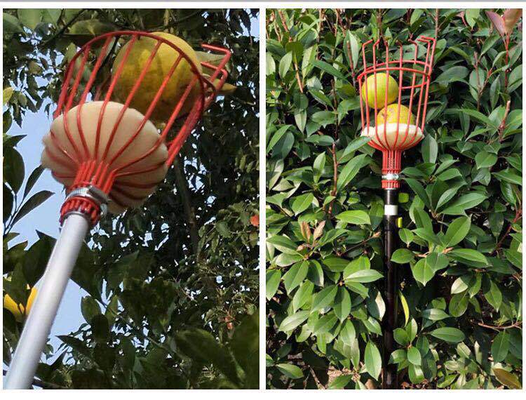 图片_20190324214247