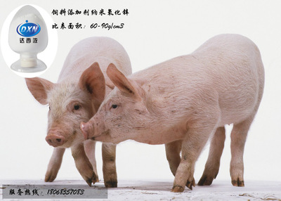 Feed additives Nanometer Zinc oxide Addition feed Conversion rate Reduce diarrhea rate