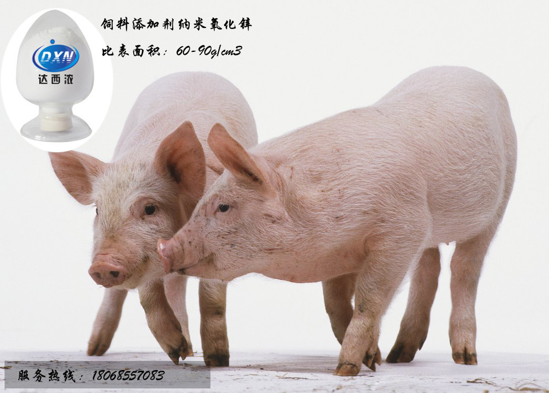 Feed additives Nanometer Zinc oxide Addition feed Conversion rate Reduce diarrhea rate