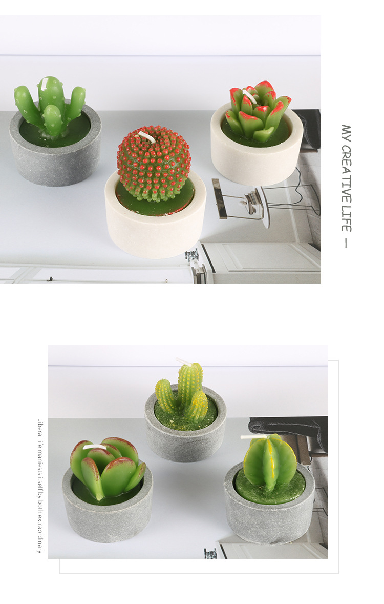 12个有底座多肉套盒_07.jpg