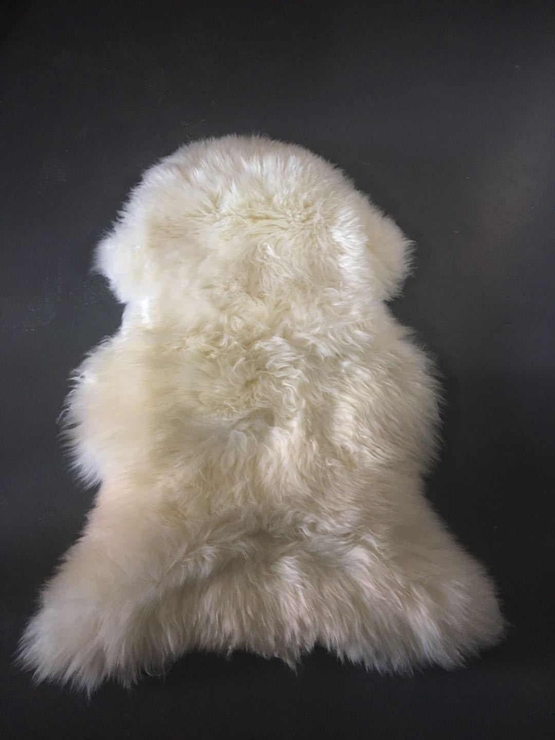 微信图片_20190510164759