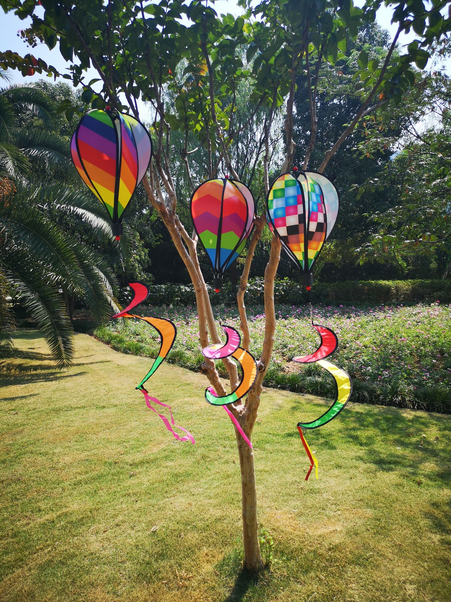 QQ图片20190927130412