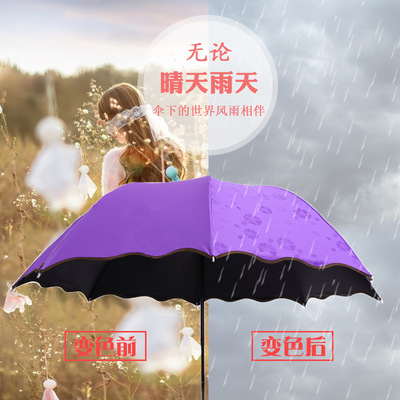 创意遇水开花太阳伞女士三折黑胶防紫外线遮阳伞 学生赠品礼品