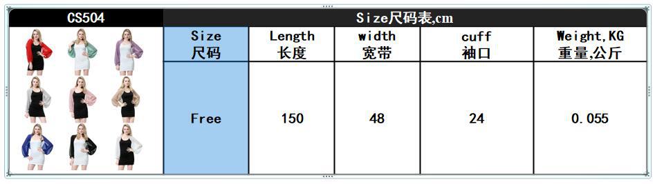 尺码图CS504.jpg