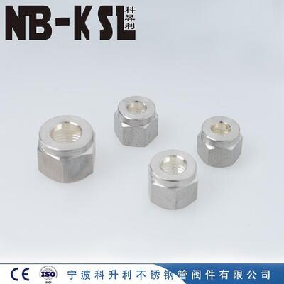 [NB-KSL不锈钢316L镀银螺母  不锈钢螺母]