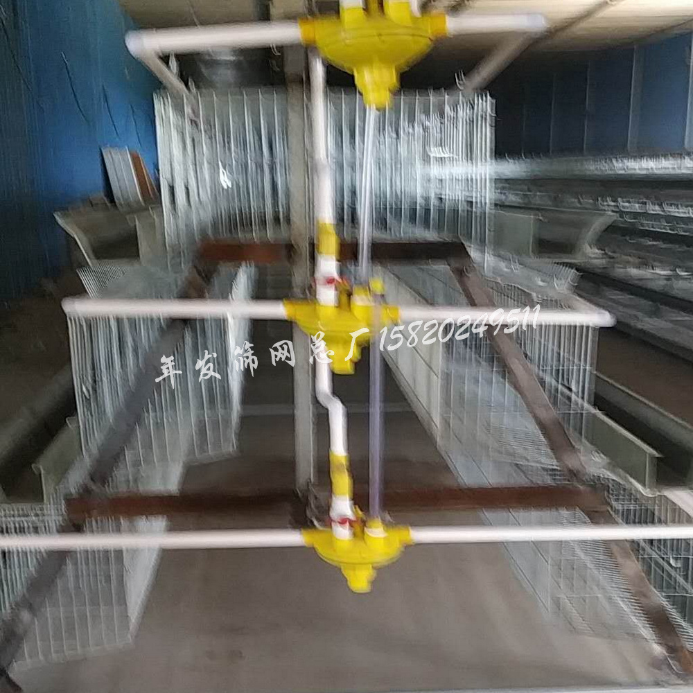 阶梯式养殖蛋鸡笼具 镀锌不生锈出口三层四门养鸡笼