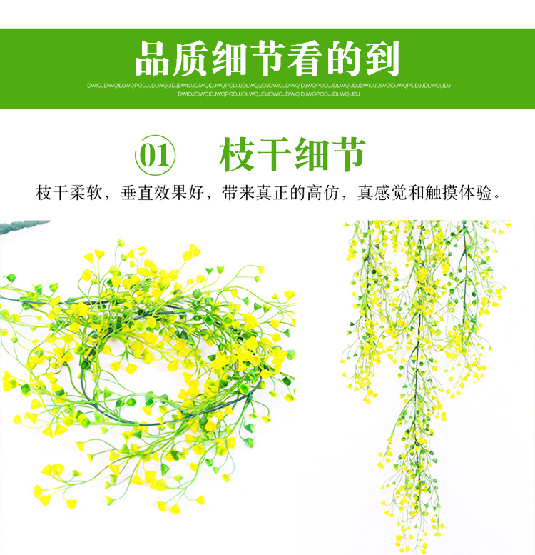 金钟柳 金钟柳壁挂