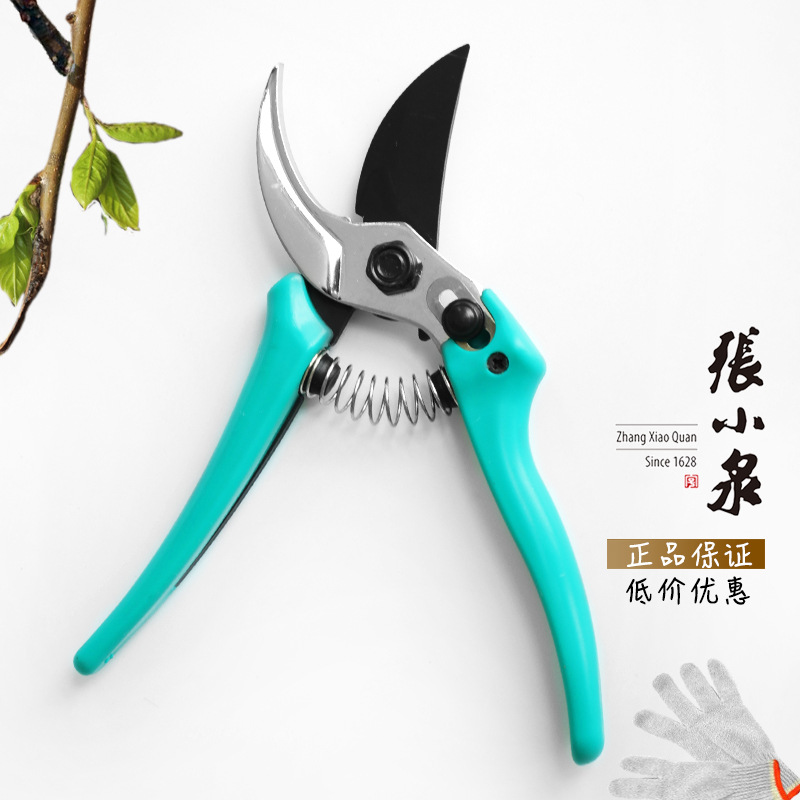 张小泉修枝树枝剪刀省力果树粗枝园艺大力采果修花多功能剪子家用