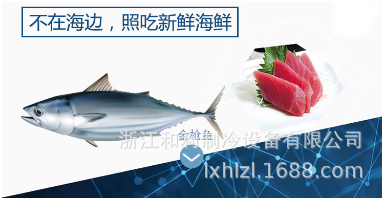 和利 120升超低温冰箱-40卧式商用冷冻柜-60℃金枪鱼超低温保存柜