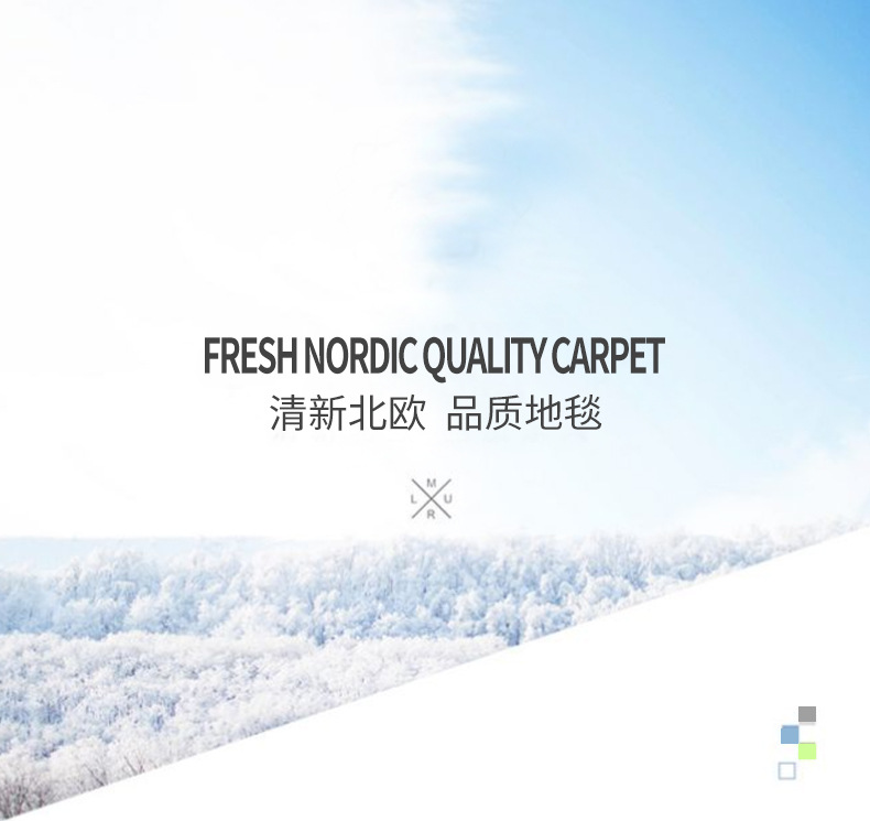 丝毛地毯,长毛地毯,家用客厅地毯,卧室地毯,床边地毯