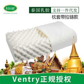 厂家直销泰国乳胶枕头 批发乳胶颈椎枕橡胶枕头V牌乳胶枕一件代发