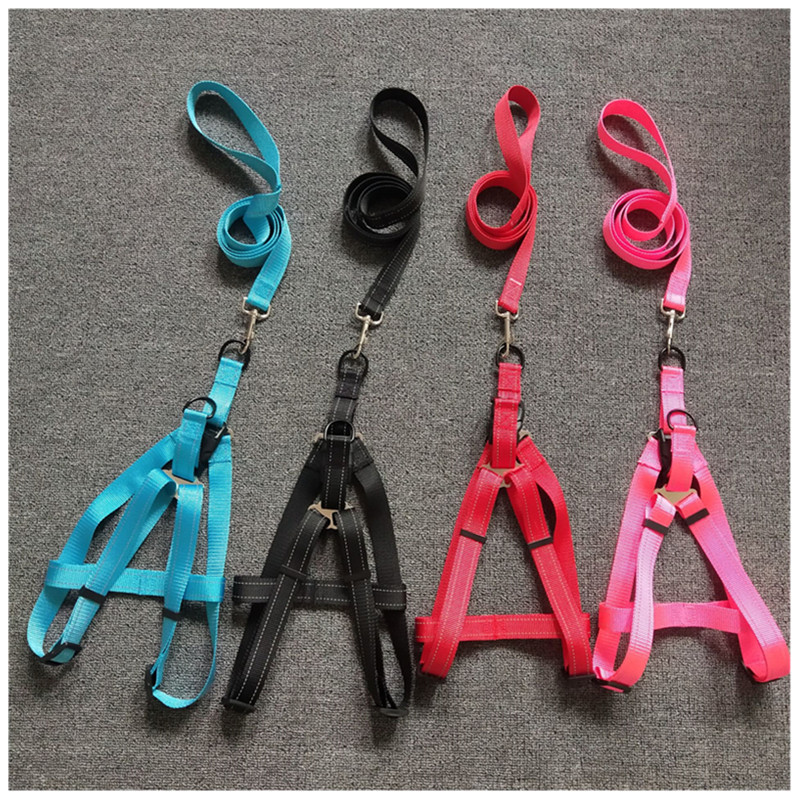 扁款宠物狗链 双反光牵引绳牵引带胸背带 狗链厂家