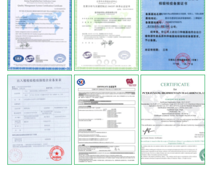 一级-高山雪龙_17