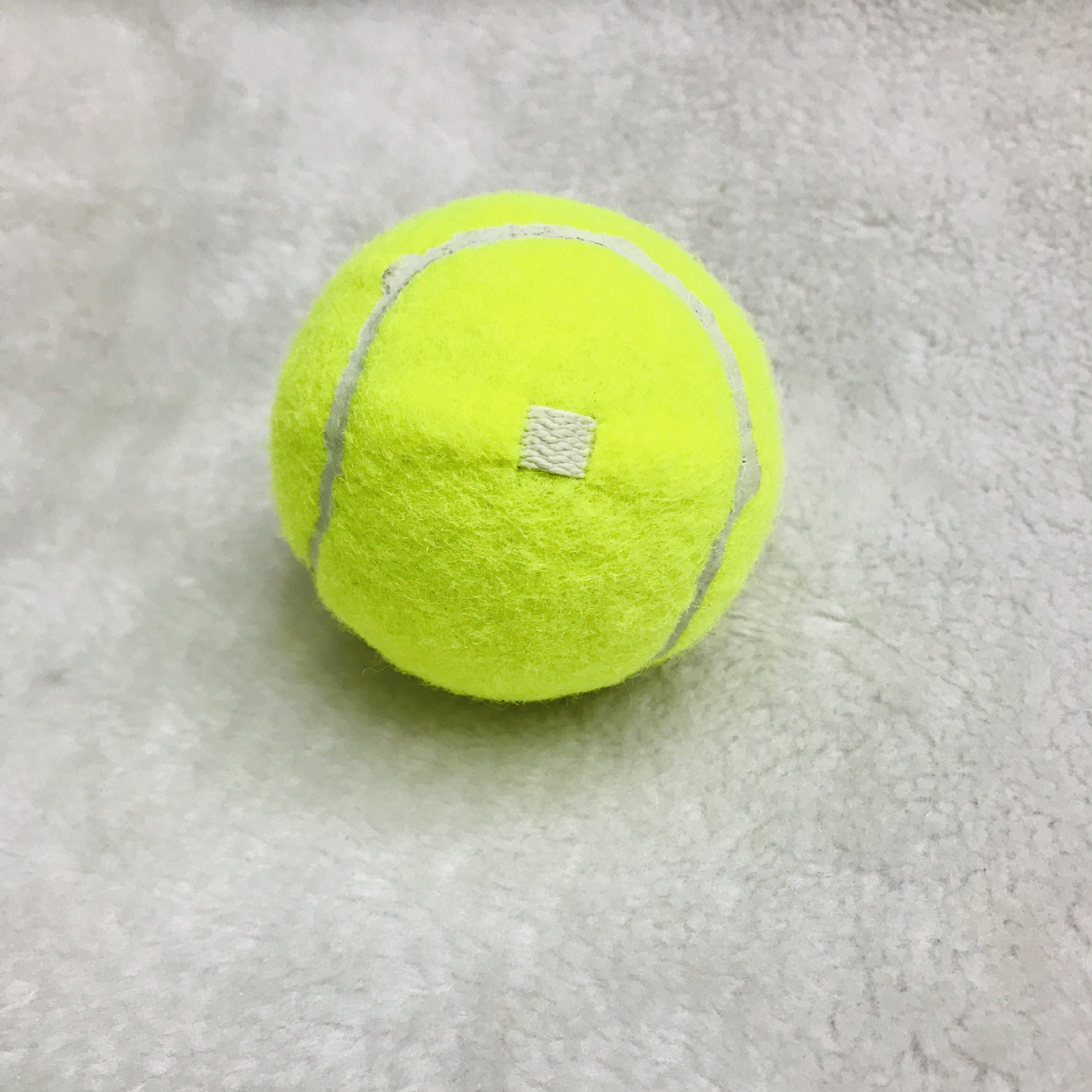 IMG_7622(20190516-145316)