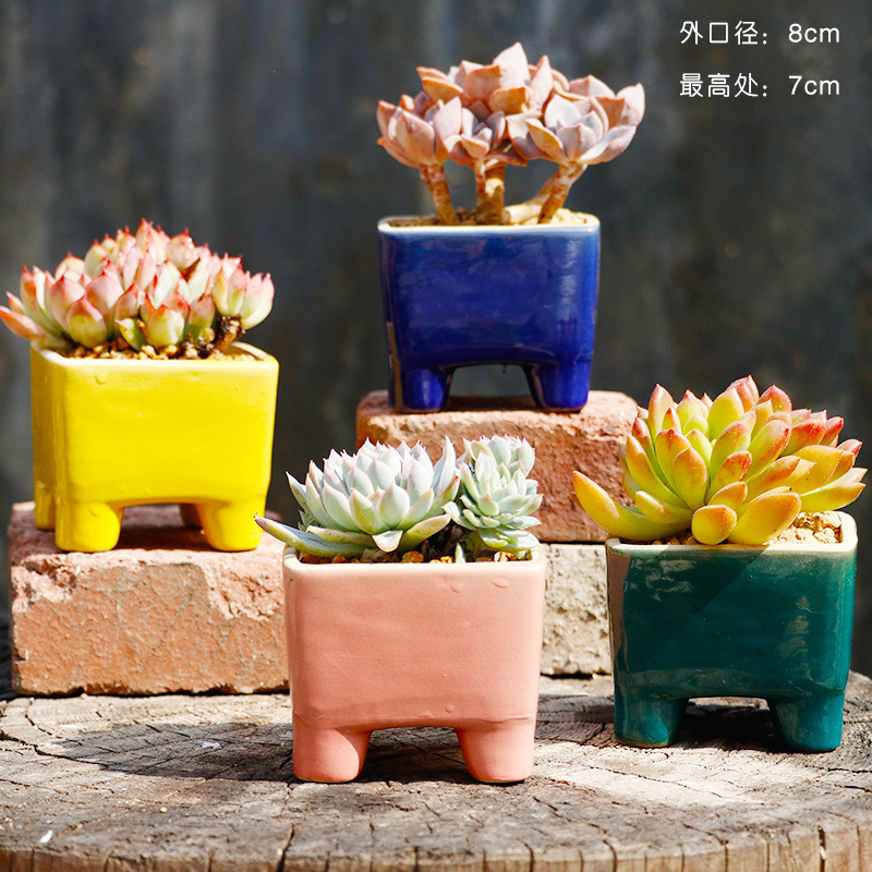 Ebony square pot ceramic fleshy flower pot stoneware pot plant fleshy flower pot Special Pot Pot Ebony square pot ceramic fleshy flower pot stoneware pot plant fleshy flower pot Special Pot Pot