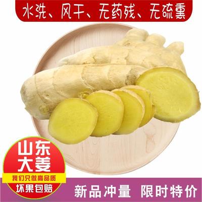 水洗姜发生姜种植基地直销生姜辛辣2斤包邮蔬菜新鲜优质|ms