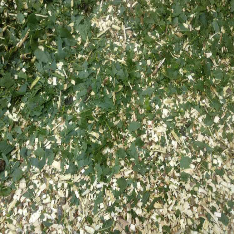 果园树枝粉碎机 鲜树枝青竹子粗细可调破碎机秸秆粉碎木糠机现货