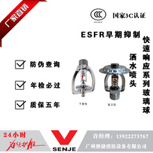 ESFR�������ƿ���푑�ϵ�в�����ˮ���^