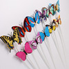 Colorful Butterfly Lighting Brave Shins Lady LED Fiber Hair Birthday Party Entertainment Corporation