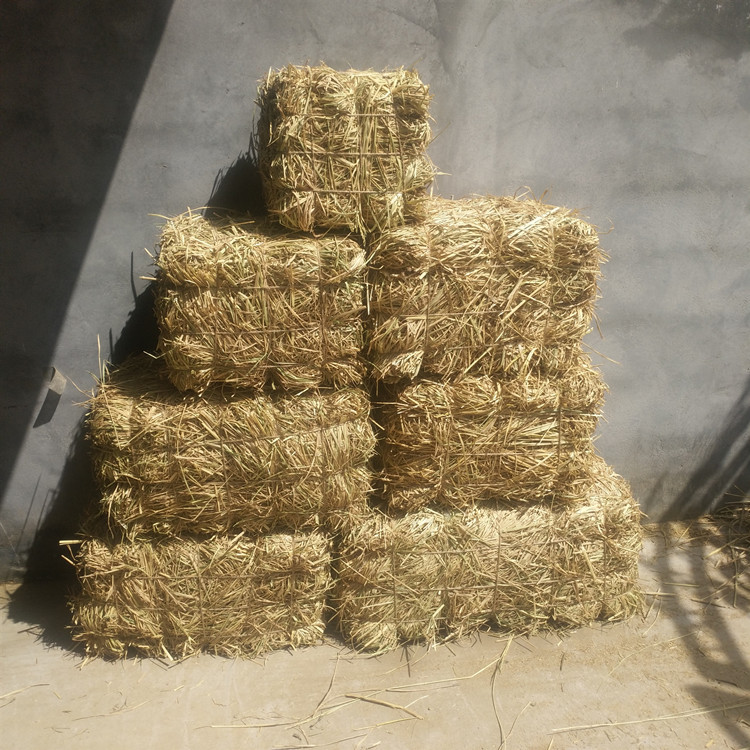 IMG_20180523_142031_副本750