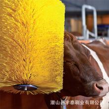厂家定制多种奶牛清洗刷  牛体刷 牛体按摩毛刷 牛体清洗毛刷直销