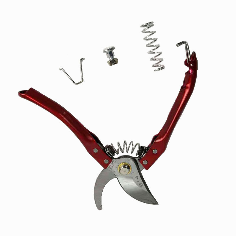 厂家供应园艺剪刀 果枝剪修枝剪 果树工具枝剪