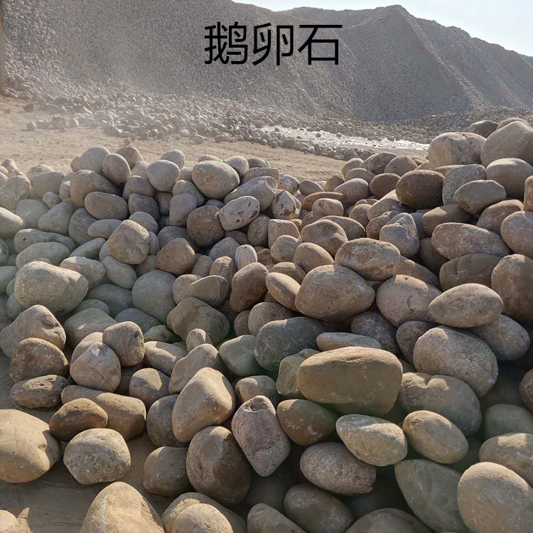 (现货销售5-8cm鹅卵石)鹅卵石 河卵石  白色 黑色 造景