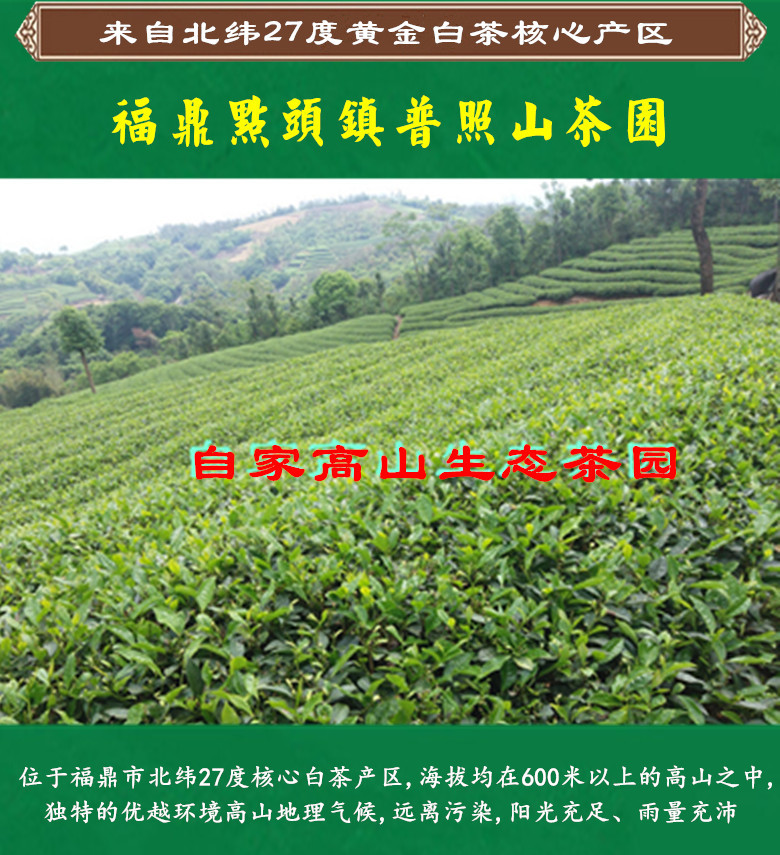 TB2GXWX.AKL1J0982017125_副本11