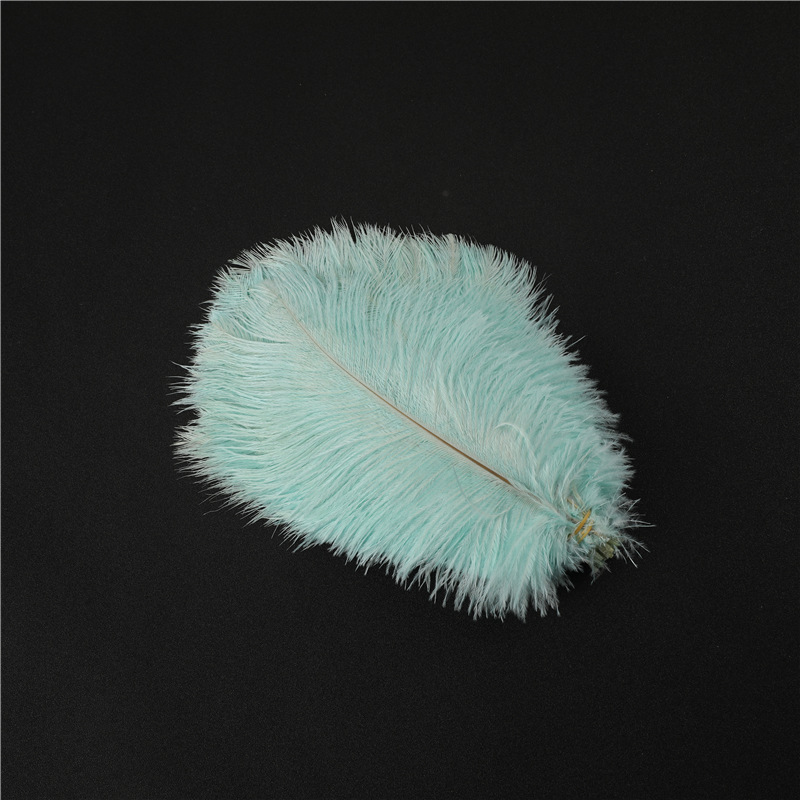 Capture One Catalog14595