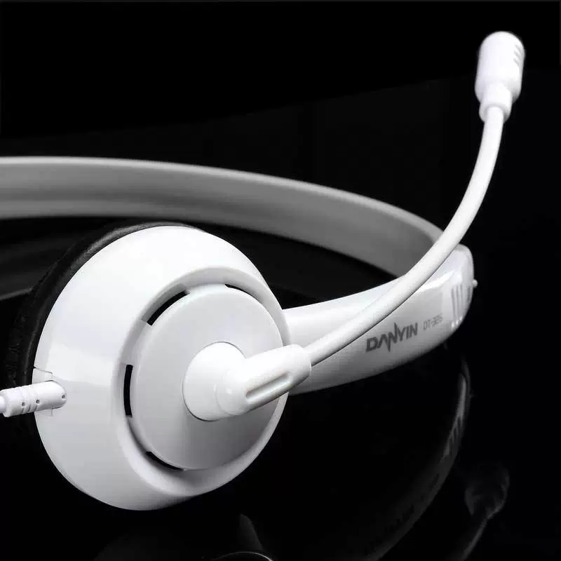 Earplugs, headphones, teaching microphone for students for training, English