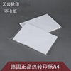 Import T-shirt, clothing, drawing paper, Germany, quick dry, wholesale