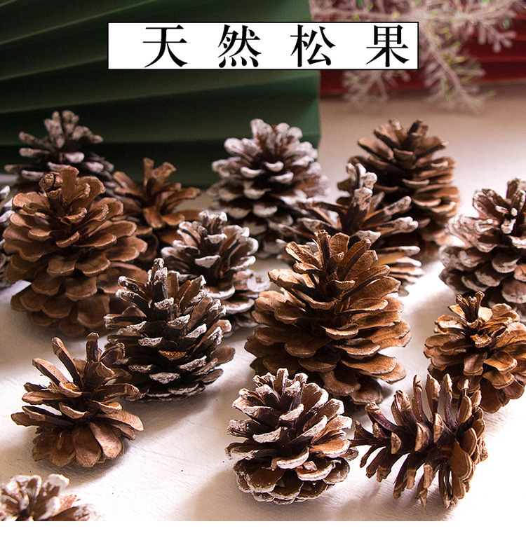 天然松球松果涂白圣诞树装饰松球拍照道具摄影摆件干果干花材料-阿里巴巴