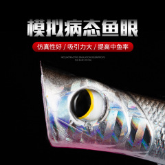 Factory-direct Lure Kit: Popper Hard Bait, Topwater Lures, and Bass/Grouper/Croaker Fishing Accessories