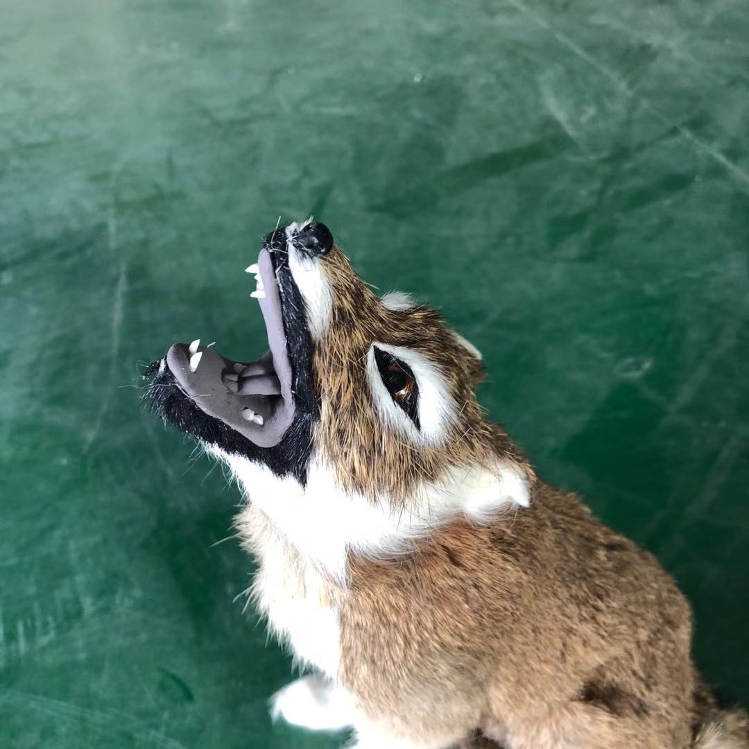 仿真動物狼擺件生日景區皮毛野狼玩具玩具禮品貓廠家