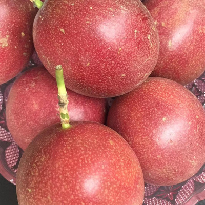 云南傣蜜百香果 紫香 非越南广西紫色百香果   5斤