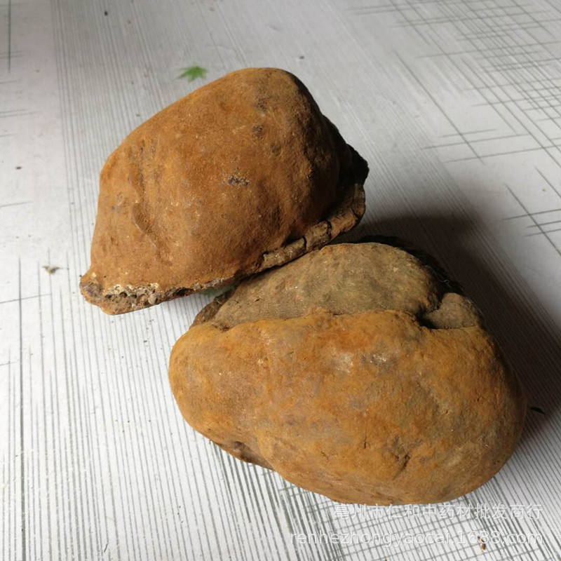 Sang Huang Mulberry Yellow Fungus Dried Phellinus 500g Bulk Herbal Ingredient for Cooking and Decoction specifications