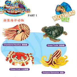 厂家直供4D拼装海洋动物章鱼海龟螃蟹鹦鹉螺4款混12只1盒 5566
