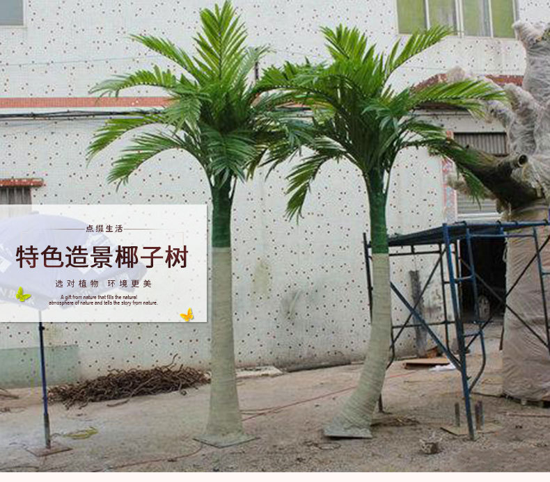 椰子树2_01.jpg
