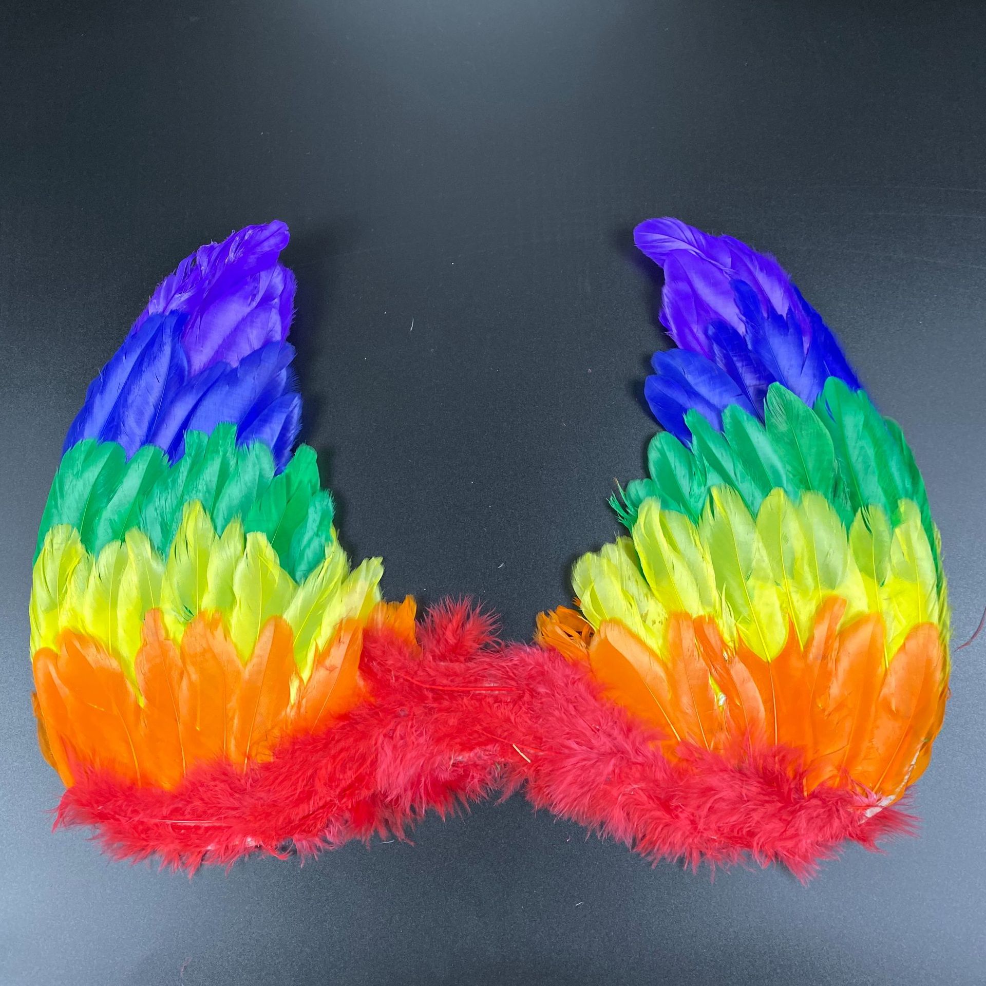 新建文件夹 (2)IMG_0222(20191114-131